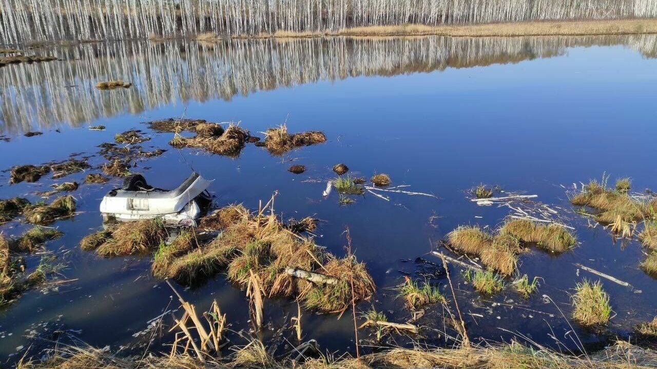 В Красноярском крае машина слетела с дороги в пруд. Погибли пятеро |  Медиагруппа 