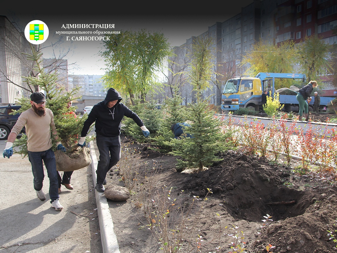 У Атмосферы в Саяногорске озеленяют территорию | Медиагруппа 