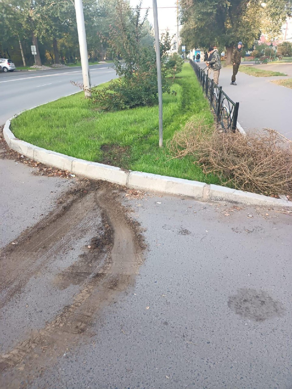 На Торговой варвары выдрали сосну и бросили на дороге | 03.10.2023 | Абакан  - БезФормата