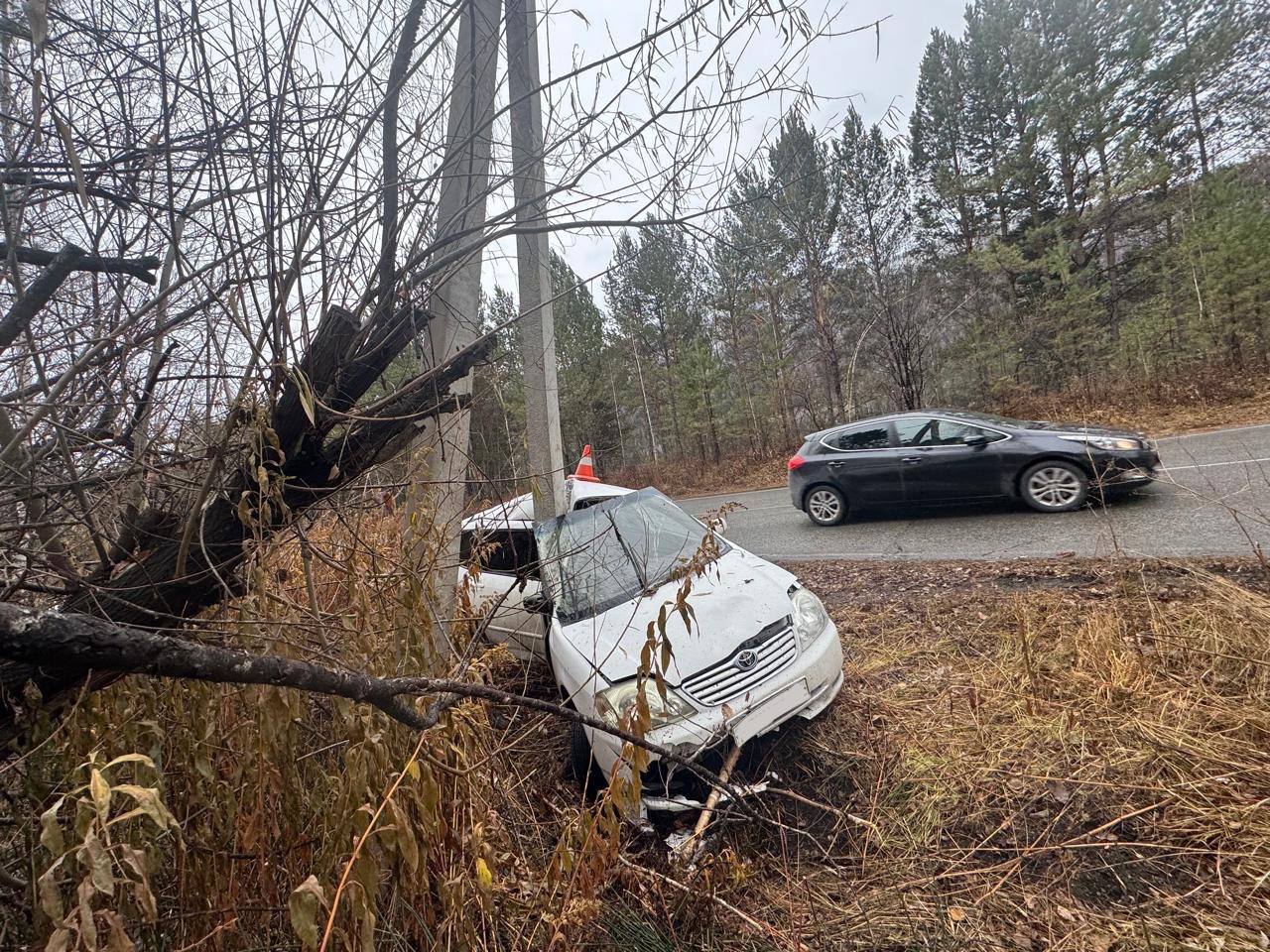 Водитель врезался в электроопору в Саяногорске. У него перелом таза